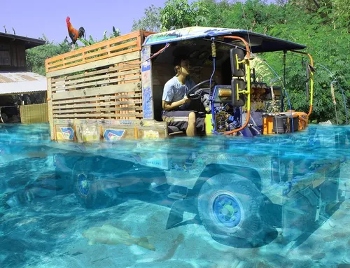 How This Free Web Host Can Benefit You