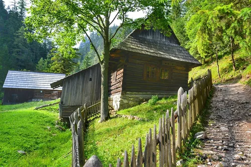 A Tshikapisk Foundation image