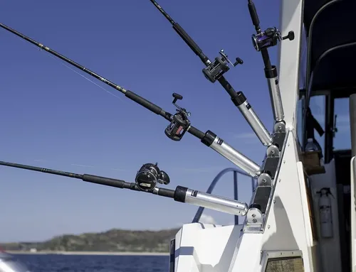 Getting the Most Out of Your Boat Chartering Experience